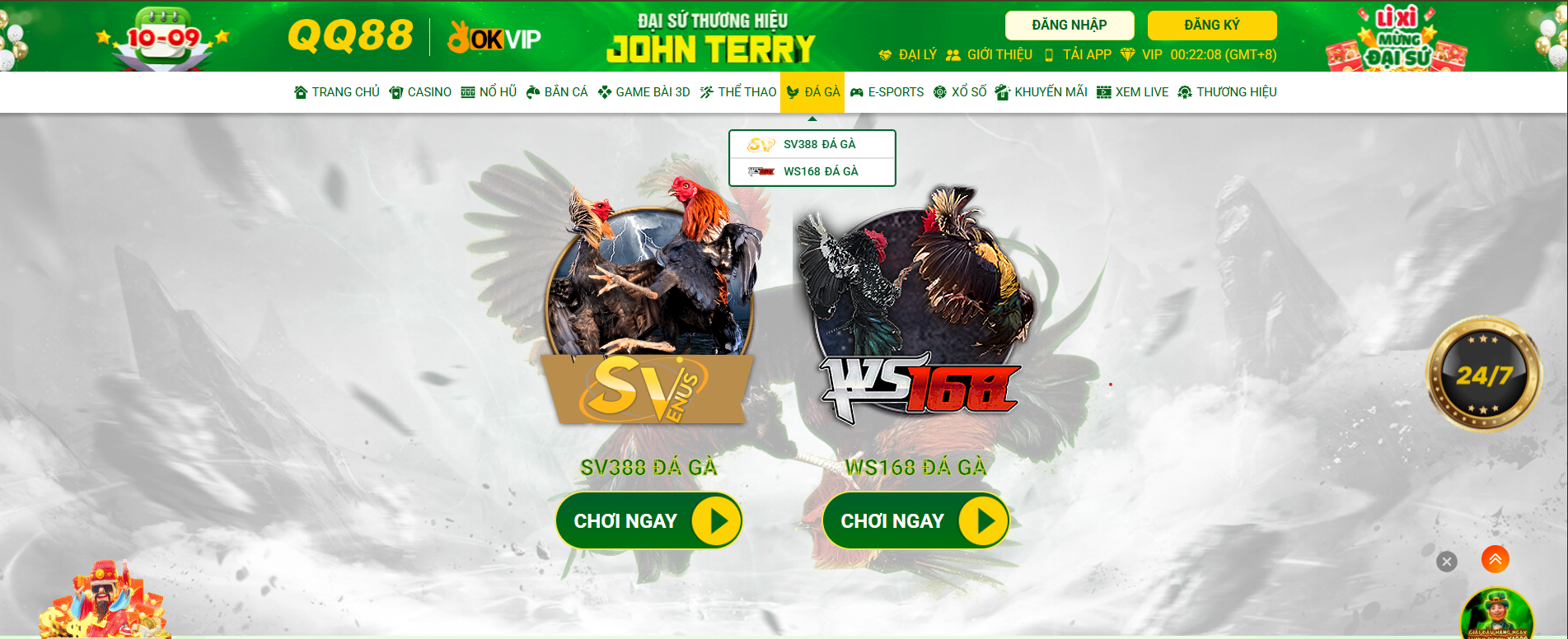 Đá gà QQ88 có gì hấp dẫn?