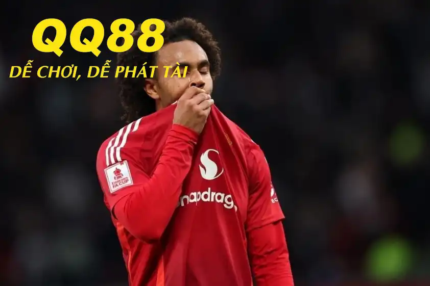 Zirkzee được liên hệ với nhiều đội bóng (Ảnh: The Sun).